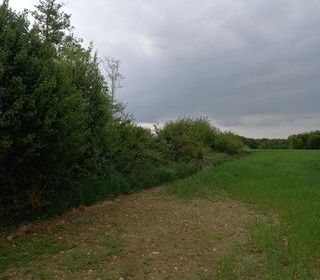  Terrain � vendre 2924 m�