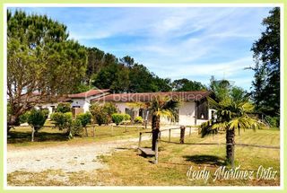  Immeuble � vendre 15 + pi�ces 440 m�