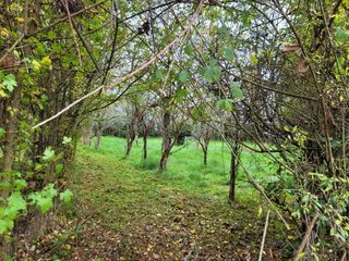  Maison � vendre 2 pi�ces 25 m�