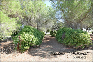  Terrain � vendre 9730 m�