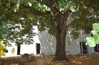  Moulin � vendre 7 pi�ces 330 m�