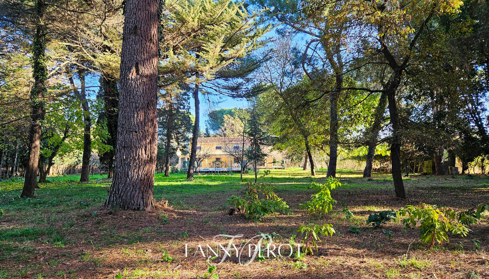 � vendre  Maison Argel�s-sur-Mer (66700)