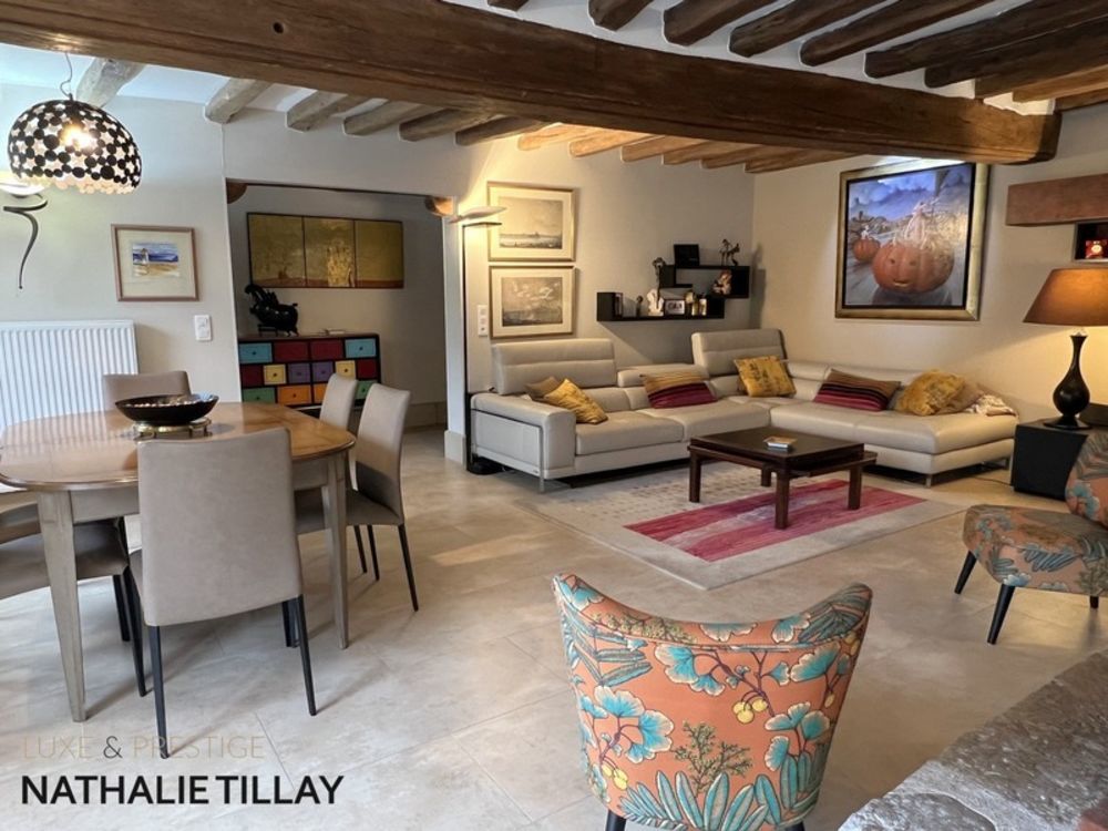 � vendre  Propri�t�/ch�teau Gidy (45520)