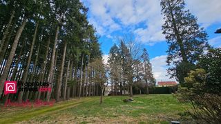  Propri�t�/ch�teau � vendre 6 pi�ces 145 m�