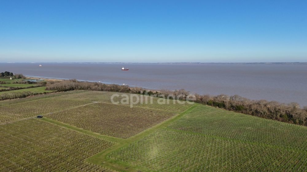 � vendre  Propri�t�/ch�teau Saint-Yzans-de-M�doc (33340)