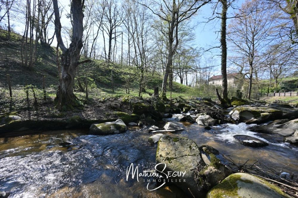 � vendre  Propri�t�/ch�teau Messimy (69510)