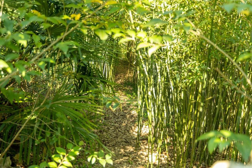 � vendre  Maison Anduze (30140)