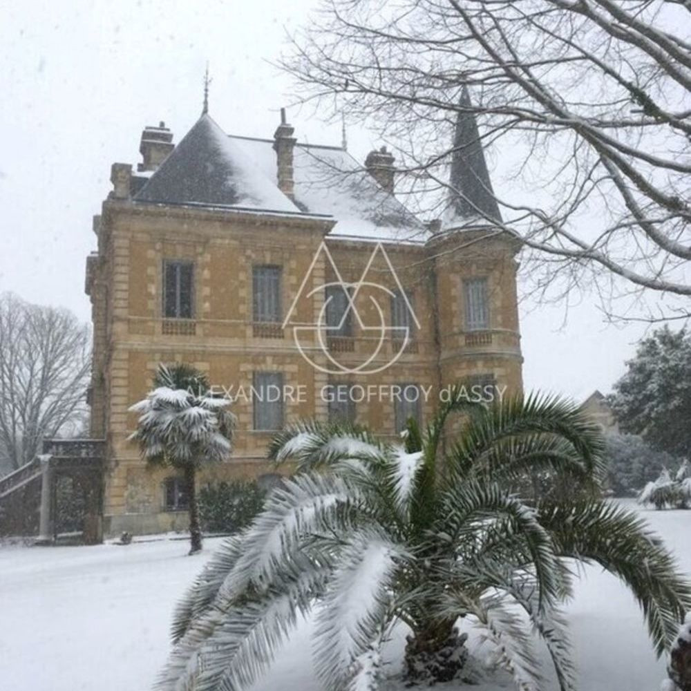 � vendre  Propri�t�/ch�teau Habas (40290)