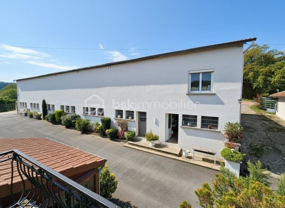 � vendre  Propri�t�/ch�teau Parigny (42120)