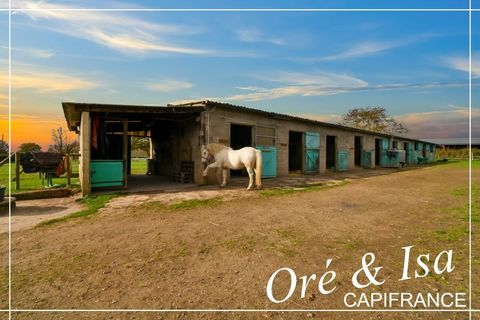   Propriete � vendre 7 pi�ces REIGNY (18) Propri�t�/ch�teau - 7 pi�ce(s) - 237 m�