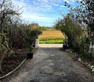  Maison � vendre 7 pi�ces 232 m�