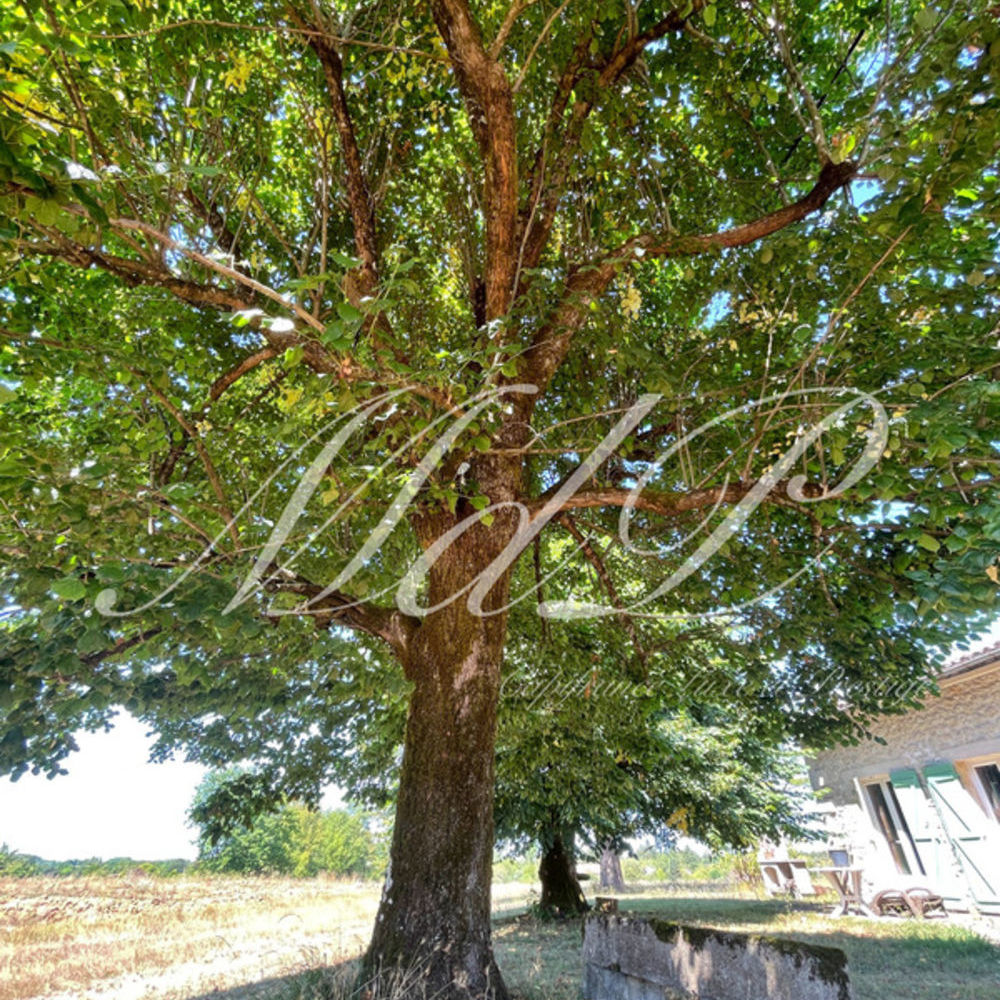 � vendre  Maison Bonneville-et-Saint-Avit-de-Fumadi�res (24230)