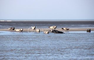  Maison 4 pi�ces 75 m� Berck