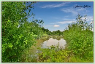  Terrain � vendre 31710 m�