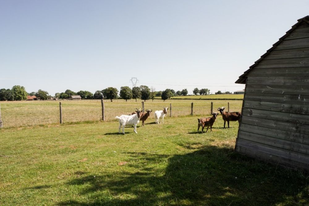 � vendre  Propri�t�/ch�teau Ch�tillon-sur-Chalaronne (01400)