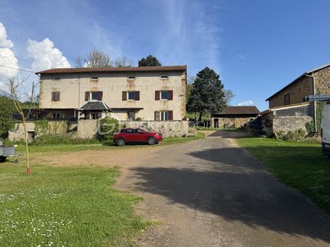   Saint-Denis-de-Cabanne (15 min de Roanne) Grande maison en pierre, ancien couvent de 300 m2, 12 pieces,6 Ch ,d�pendances, maison Propri�t�/ch�teau - 10 pi�ce(s) - 300 m�