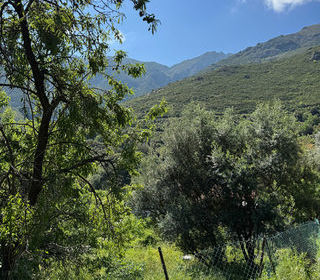  Terrain � vendre 623 m�