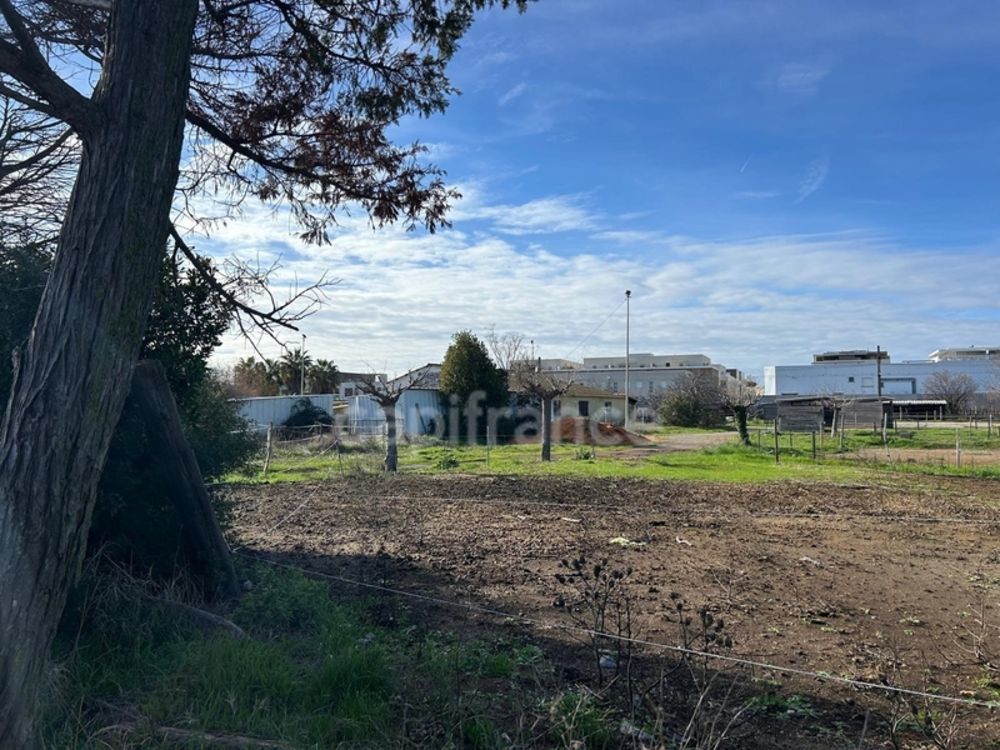 � vendre  Maison Frontignan (34110)