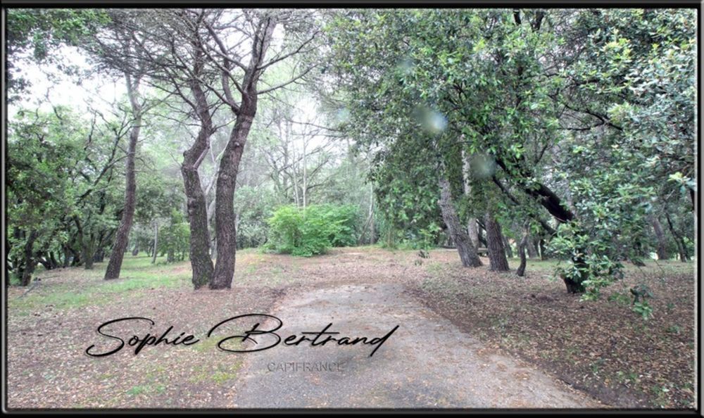 � vendre  Maison Le Teil (07400)