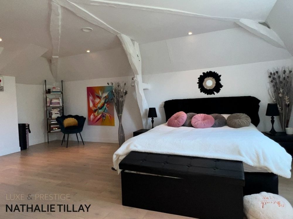 � vendre  Propri�t�/ch�teau Orl�ans (45000)