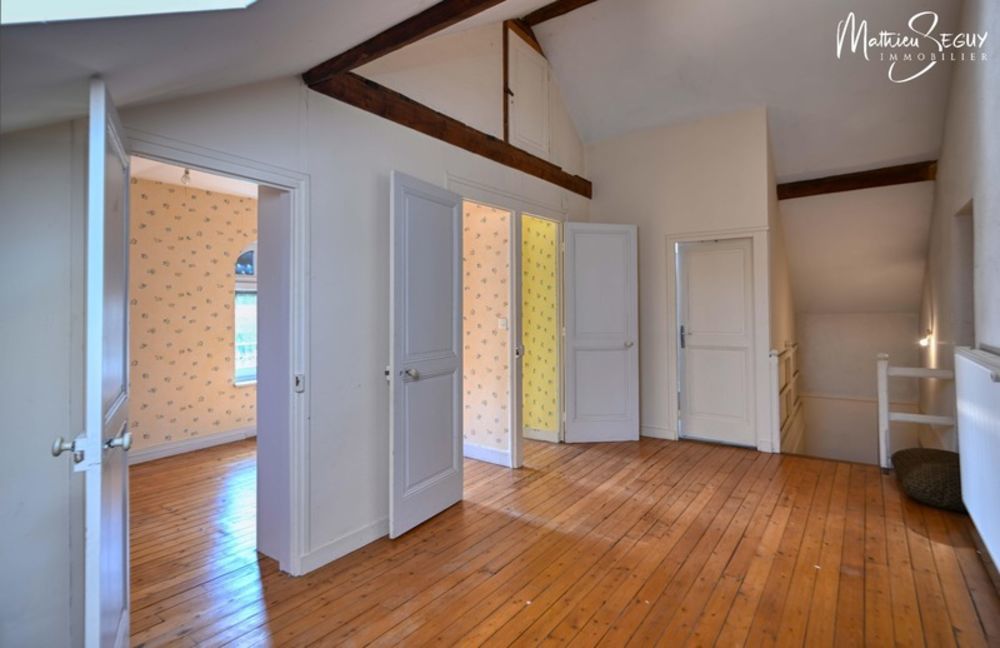 � vendre  Propri�t�/ch�teau Messimy (69510)