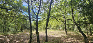  Terrain � vendre 2800 m�