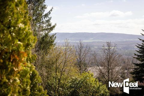  Maison � vendre 7 pi�ces 230 m�