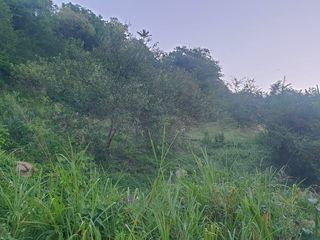  Terrain � vendre 2000 m�