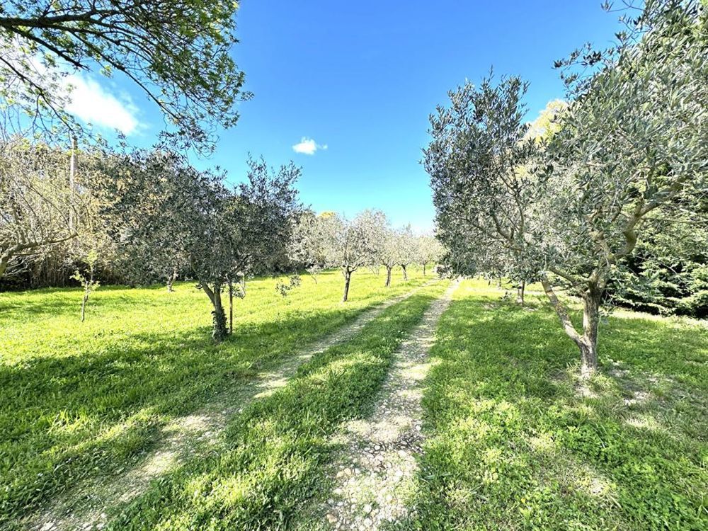 � vendre  Propri�t�/ch�teau Grans (13450)