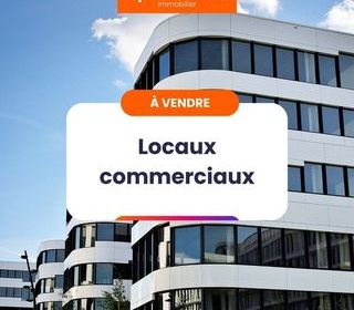  Immeuble � vendre 15 + pi�ces 1288 m�