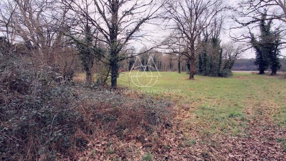 � vendre  Maison Gy-en-Sologne (41230)