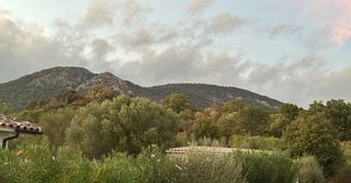  Maison 3 pi�ces 73 m� Sainte lucie de porto vecchio