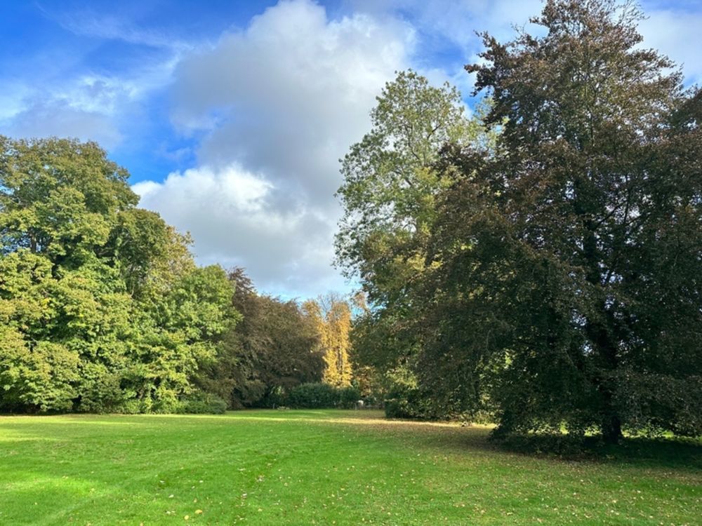 � vendre  Propri�t�/ch�teau Saint-Ouen-de-Thouberville (27310)