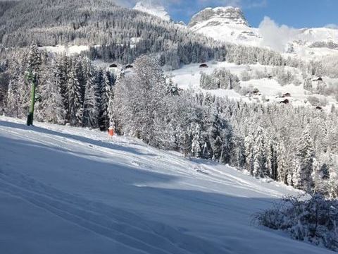   CORDON Appartement  2 pi�ces 24  m2  secteur pistes 129000 euros Appartement - 2 pi�ce(s) - 24 m�