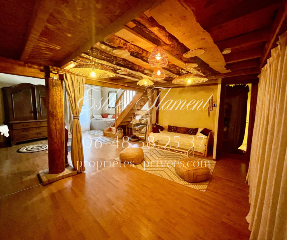 � vendre  Propri�t�/ch�teau Anduze (30140)