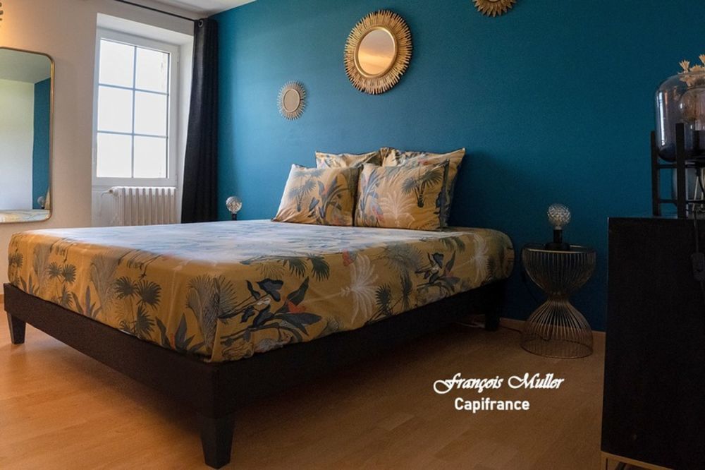 � vendre  Propri�t�/ch�teau Les M�es (04190)