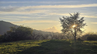  Maison � vendre 12 pi�ces 273 m�