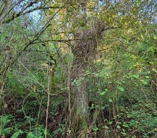  Terrain � vendre 16281 m�