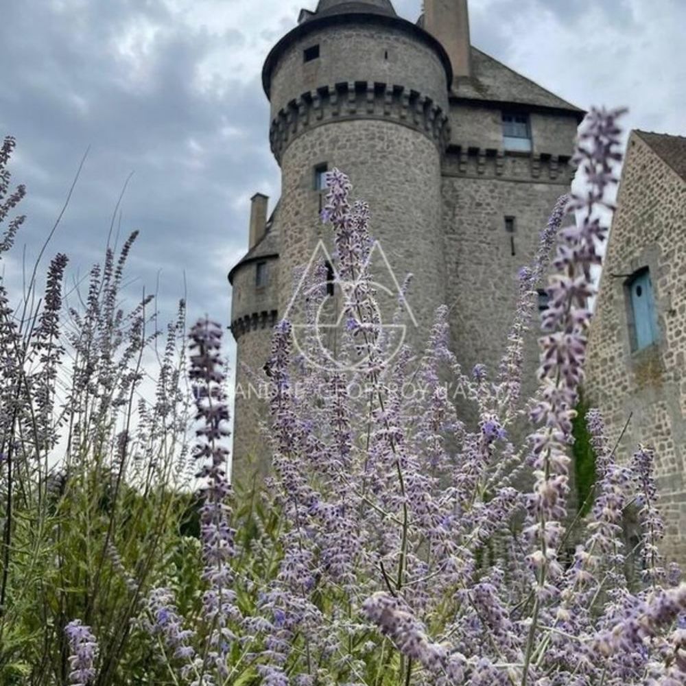 � vendre  Propri�t�/ch�teau Gu�ret (23000)