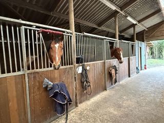  Propri�t�/ch�teau � vendre 5 pi�ces 132 m�