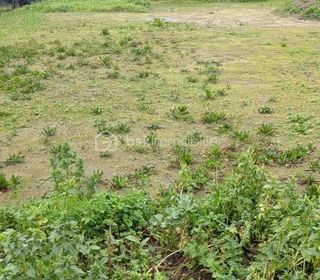  Terrain � vendre 529 m�