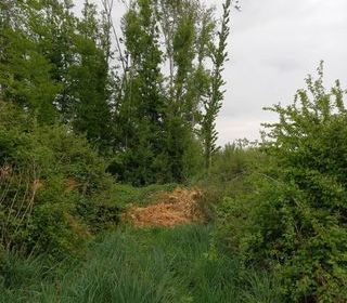  Terrain � vendre 2924 m�