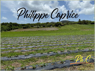  Terrain � vendre 2000 m�