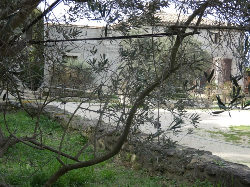 � vendre  Maison Saint-R�my-de-Provence (13210)