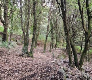  Terrain � vendre 5784 m�