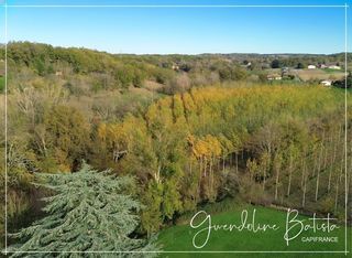  Propri�t�/ch�teau � vendre 15 + pi�ces 415 m�