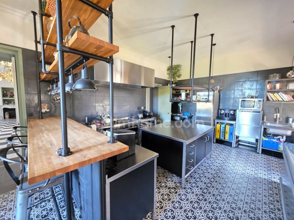 � vendre  Propri�t�/ch�teau Ch�teauneuf-la-For�t (87130)