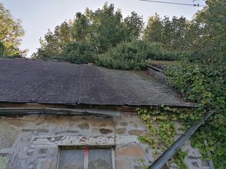  Propri�t�/ch�teau � vendre 1 pi�ce 1 m�