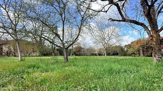  Terrain � vendre 1000 m�