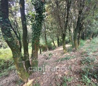  Terrain � vendre 5784 m�